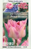 ЛАЛЕ Кичесто ранно, Peach Blossom (murillo) розово