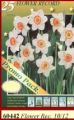 НАРЦИС, Flower Record бяло