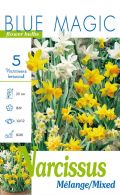 НАРЦИС За алпинеуми, Narcissus botanical микс