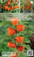 Физалис Lampionplant оранжев